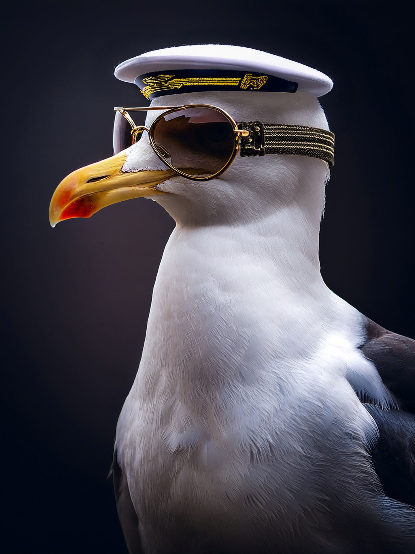 Seagul Pilot